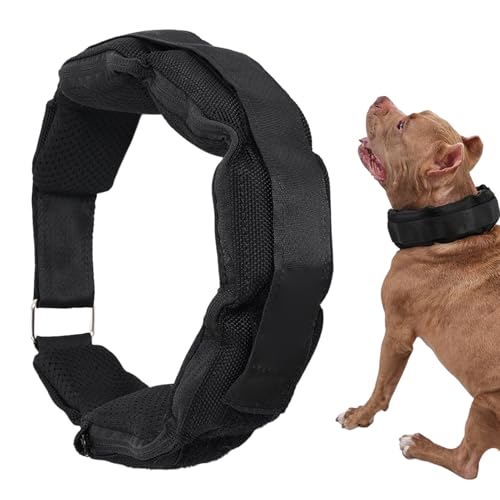 小型犬用トレーニングカラー,子犬用ウエイト付きギア,調整可能 大型 犬用 首輪 - 全犬種フィットネス重量訓練ハイキングランニング用