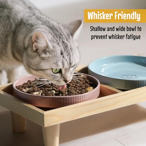 Katzennapf Flach Keramik mit Holzständer, Erhöhte Futterstation Tisch mit 2 Keramiknäpfe, Futternapf Katze Schalen-Durchmesser 16 cm