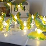 kingcoo 6 m, 40 led, luce bianca calda, con farfalla, funzionamento a batteria, illuminazione decorativa per interni per camera da letto, feste, compleanno, estate, giardino, matrimonio, natale,