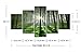 5 Panel Forest Wall Art for Office Decor, SZ Fantastic Spring Morning Sunrise Picture Canvas Prints of Nice Sunshine Peeking Through Rainforest (Waterproof Artwork, 1