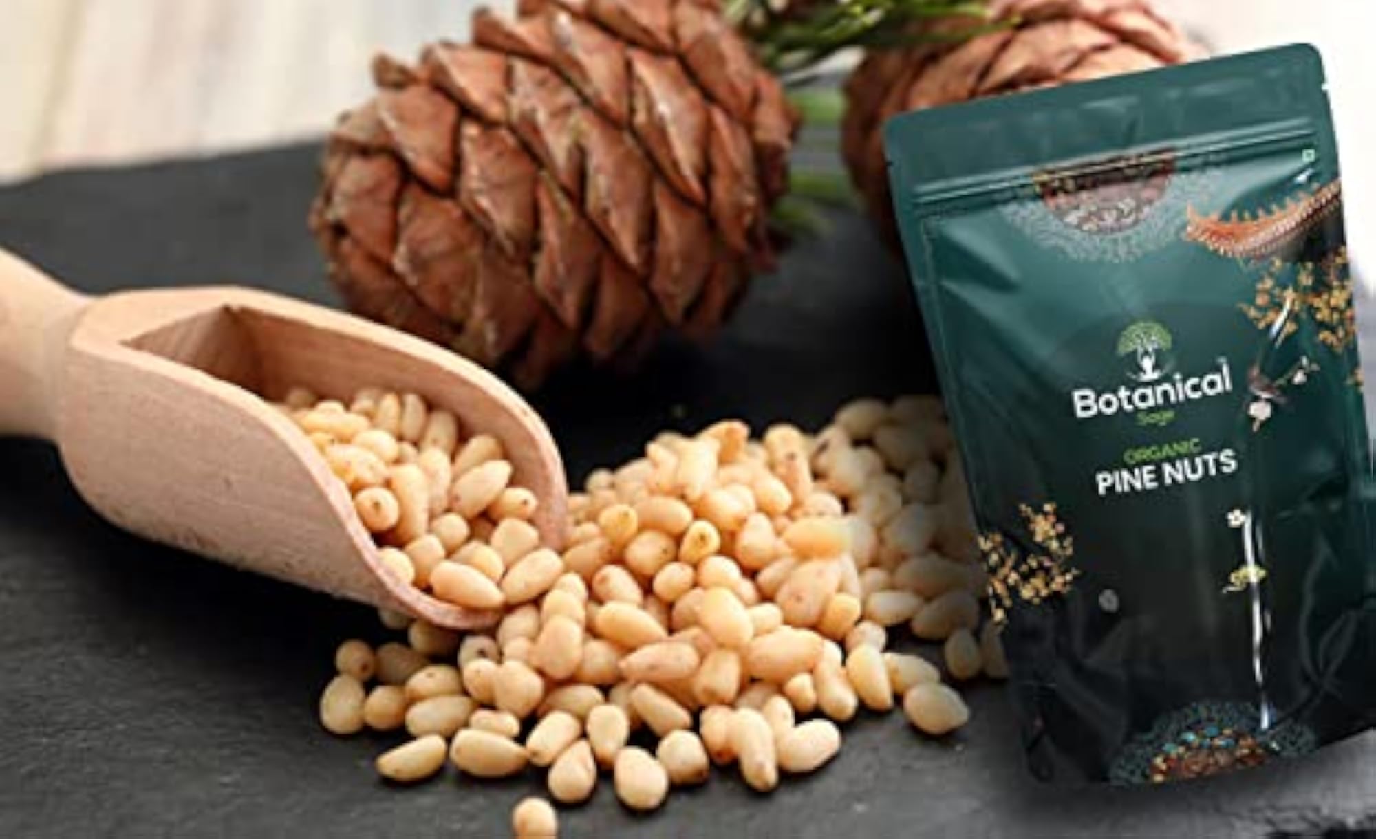 Botanical Sage Lebanon Pine Nuts, Jumbo Chilgoza Seeds