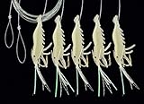 DEGA Makrelen-Shrimp Vorfach, mit 5 Seitenarmen, attraktive Shrimp-Imitate, Länge 150cm, Schnur 0,50mm, Hakengröße 1/0, 2 Farben zur Auswahl (Luminous)