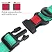 Taglory Hundehalsband, Weich Gepolstertes Neopren Nylon Hunde Halsband für Kleine Hunde, Verstellbare und Reflektierend für das Training, Türkis