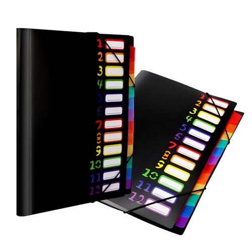 Elalove 2 Pièces Pochette A4 avec 12 Compartiments Classeur Plastique Transparent Trieur Porte Documents Bureau Étanche pour École Maison Voyage