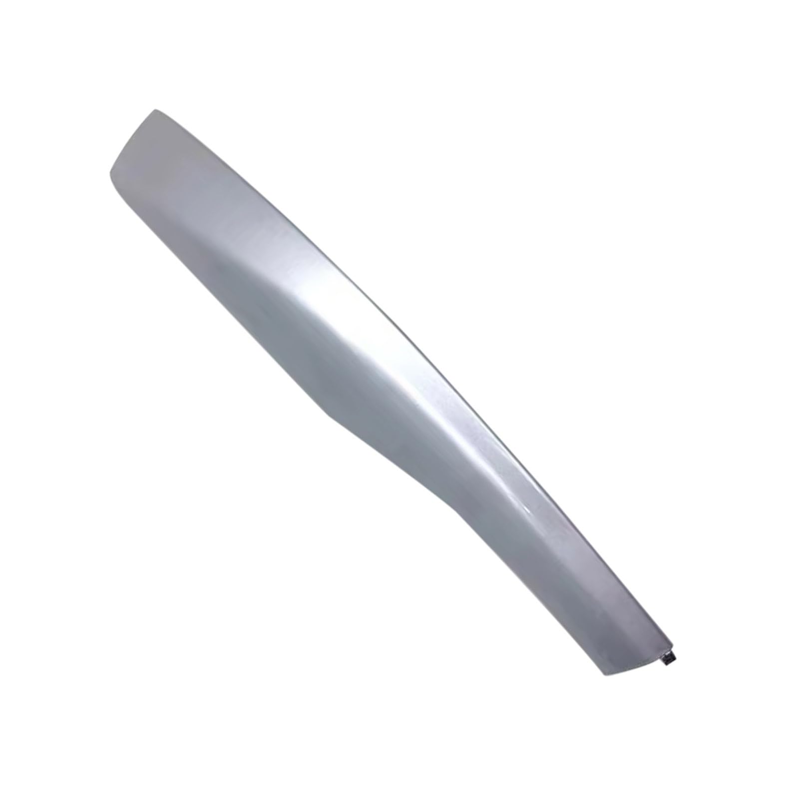 Cache support de bagages Lexus RX argent embout de barre de toit 63494-48050