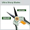 PrunePro Garden Scissors Pruning Shears Sharp Stainless Steel Non-Stick Teflon Coating Blade for Precise Cuts Garden Snip Bonsai Clippers for Plants Rose Flower 2 Pack #1