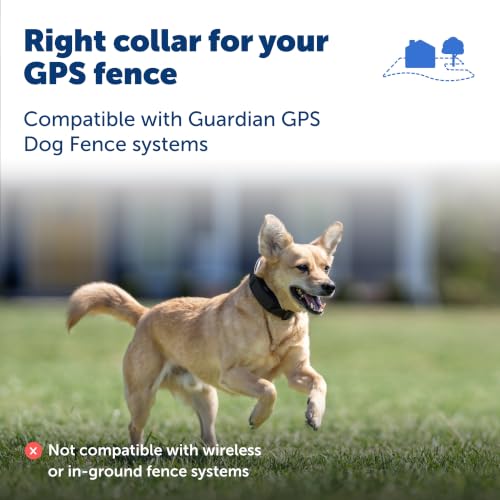 PetSafe Guardian GPS Dog Fence Add-A-Dog Collar - Add-On for Guardian GPS Dog Fence System - Backed with the Worlds Safest GPS Fence Technology - Long Battery - Tone, Vibration & 10 Levels of Static by PetSafe - Image 7