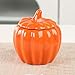 WAIT FLY Pumpkin Shape Airtight Ceramic Canister Tea Canister Tea Storage Food Storage Jar for Tea, Coffee, Spices, Sugar, Cookies, Pickle, Cereals-Orange-7 OZ
