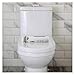 Wall-Mounted Urinal Valve Flush Split Toilet Inlet Valve Super Water-saving Two Button Drain Hand Tools Accessories(27cm)