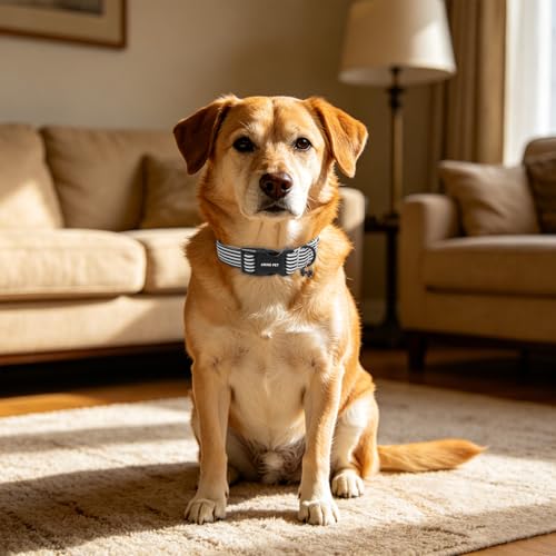Image of ARING PET Black Striped Dog Collar for Small Medium Large Boy Girl Dogs-XS