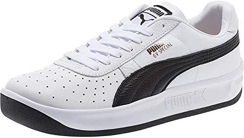 guillermo vilas puma