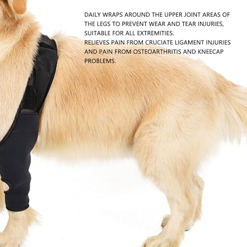 Zerodis Hunde-Kniebandage für Gerissenes ACL-Hinterbein, Kreuzbandverletzungen, Patellaluxation oder Arthrose, Hunde-ACL-Kniebandage, Hundebandage für das Hinterbein Zur Unterstützung (M)