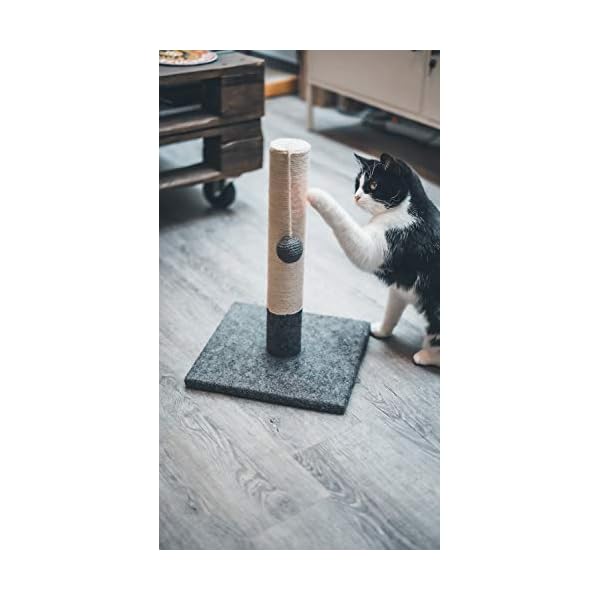 Tyrol | Kratzbaum für Katzen, 42 cm | Kratzpfosten für Katzen aus Jute und strapazierfähigem Stoff mit Bommel | Kratzbaum in modernem Design Farbe Grau und Weiß | stabile Basis 30 x 30 cm – Bild 6