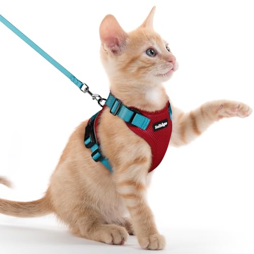 Image of rabbitgoo Cat Harness and Leash Set, Escape Proof Vest, Red & Teal | Soft Breathable Mesh, Easy Adjustable Fit, Snap Buckles, Sturdy Clip, Reflective Strips, for Kittens & Small Cats Walks, Xxs