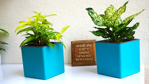 Image of Indian Discovery Self Watering Tabletop Planter| Flower Pots for Home, Terrace, Balcony, Vertical Garden Decor Flower Pots(1 PC, Sea Green, Square) |6 Inch UV-Resistant Plastic Plant Pots
