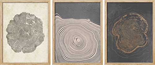 SIGNWIN Framed Set Pastel Gray Wood Tree Ring Spirals Nature