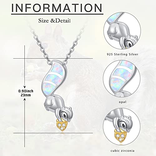 Coachuhhar Squirrel Gifts S925 Sterling Silver Cute Squirrel Necklace Animal Pendant Winter Jewelry For Women Girls Squirrel Lovers Birthday Mother's Day #TOP5