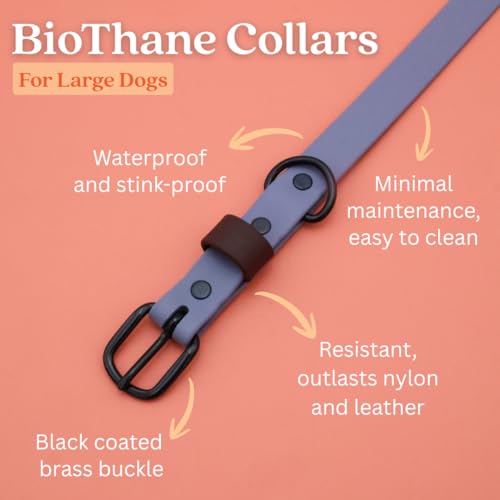Collier pour chien imperméable flexible taille L couleur brouillard lavable - 3