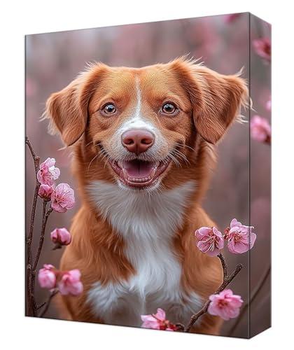 Peinture numéro adulte fleur chien kit complet loisirs créatifs DIY 50x70cm