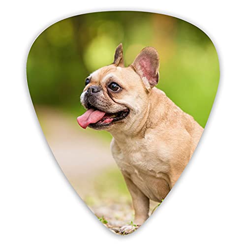 �M�^�[�s�b�N �t�����`�u���h�b�O 3��ނ̌��� �Z�b�g - �s�b�N 0.46mm / 0.71mm / 0.96mm 12���t�� �A�R�M �G���L �E�N���� �M�^�[�s�b�N �J���t�� ���푽�F