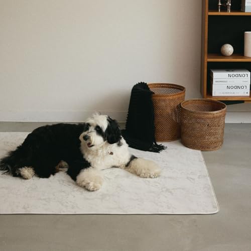 [citydog/VeBhbO] tA}bg b  }bg h ~ }bg t[O}bg tAV[g A_[}bg h~ hbO}bg (}[u, 140×240 Jbg^Cv)