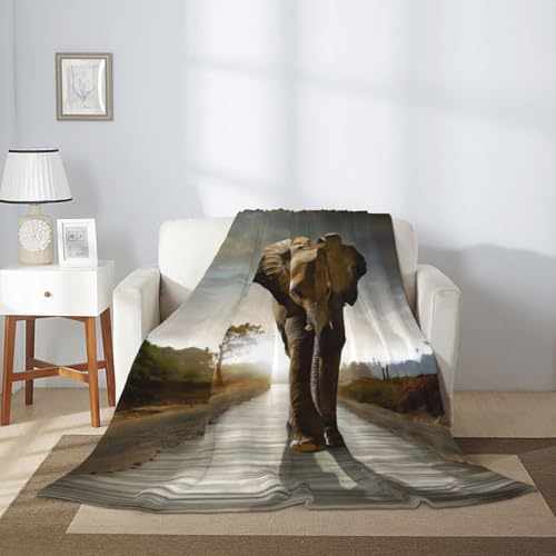Couverture portable éléphant 3D cadeau original hiver doux