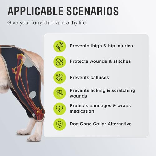 Image of Dog Back Leg Sleeve to Stop Licking - Hind Leg Recovery Sleeve for Wound Protection, Reflective Rear Leg Brace, Cone Alternative for Skin Damage Prevention - Size XS