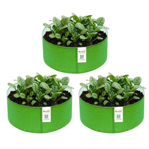 Image of Premium HDPE UV Stabilised GrowBag Size 12x6 Inch Pack of 3 | 260 GSM Round Shaped Green Colour | Suitable for Microgreens, Spinach, Coriander and Other Leafy Greens
