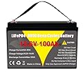 12V 100Ah LiFePO4 Lithium Battery Group 31 with Low-Temp Protection, Built-in 100A BMS, IP65 Waterproof 1.28kWh Rechargeable Lithium Batteries, 8000-15000 Cycles Perfect for Solar System, RVs, Boats