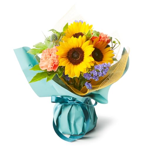 bloomee(u[~[) ̂܂܏ u[P Ђ܂ STCY hV̓ (Gift for you J[h t)  ~j ԑ (Mtg v[g j) ސEj j Ǝ JXj t[Mtg (ԕrsv 炸)