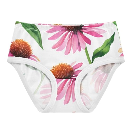 Toddler Underwear Floral 2t Cotton Panties Little Girl Fancy Briefs Kids Undies Pink Echinacea Flowers White