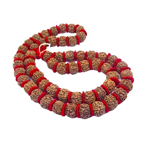 OPTIMUS RUDRAKSHA Five Face Kantha Mala Beads Ruthratcham Malai 5 Mukhi Rudraksha Mala Original Certified Jaap | Japa Mala 20Mm 5 मुखी रुद्राक्ष कंठा माला For Men & Women-image-24