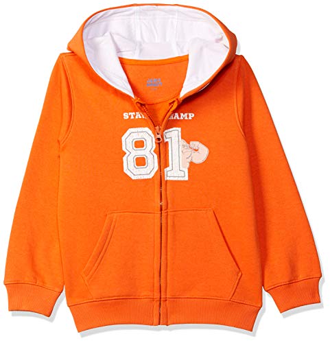 Amazon Brand – Jam & Honey Boys Cotton Blend Hooded Neck Sweatshirt