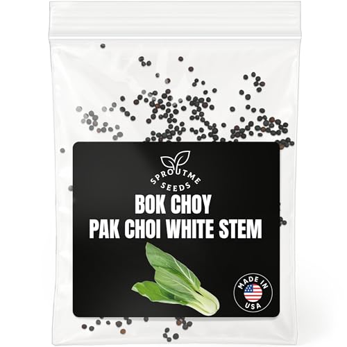SPROUTME SEEDS Bok Choy Pak Choi â€“ 300+ Seeds for Planting â€“ Non-GMO Heirloom Chinese Cabbage â€“ Fast-Growing Asian Greens, High Germination â€“ USA-Grown (Brassica rapa VAR. chinensis)