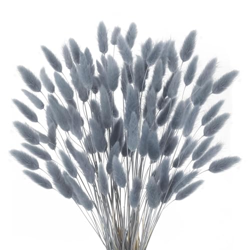 HUAESIN Dried Flowers Pack of 120 Natural Pampas Grass Reed Grass Small for Wedding Home Party Office Photography Vase Decoration Grey HUAESIN Dried Flowers Pack of 120 Natural Pampas Grass Reed Grass Small for Wedding Home Party Office Photography Vase Decoration Grey
