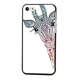 Lovely Colorful Painted Patern Hybrid Hard Back Case Cover Skin for Apple Iphone 5 5s (C)