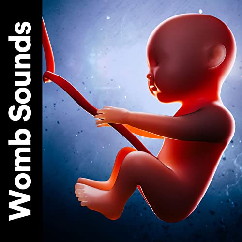 Play Womb Sounds by Womb Sound, White Noise Baby Sleep Music & White
