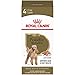 Royal Canin Poodle Adult Breed Specific Wet Dog Food, 3 oz can 4-pack