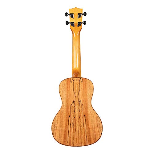 Kala KA-FMCG – Ukulélé à flamme à ressort solide Maple Concert avec étui (UC-C) - Les Beatles, Paul McCartney, John Lennon, RIngo Starr, George Harrison Kala KA-FMCG – Ukulélé à flamme à ressort solide Maple Concert avec étui (UC-C) – Image 3