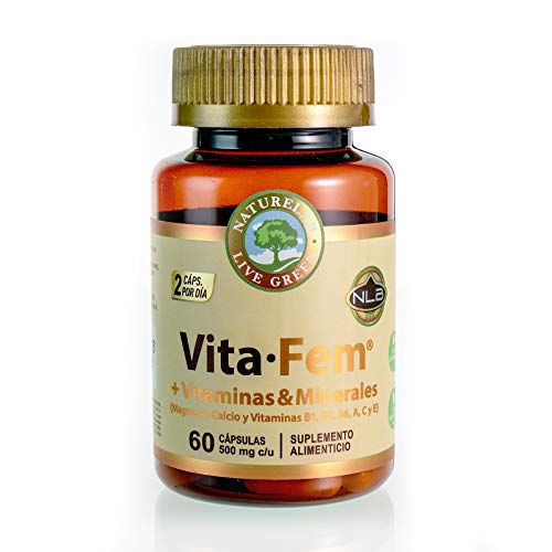 Vita-Fem + Vitaminas & Minerales (60 cápsulas de 500 mg c/u)