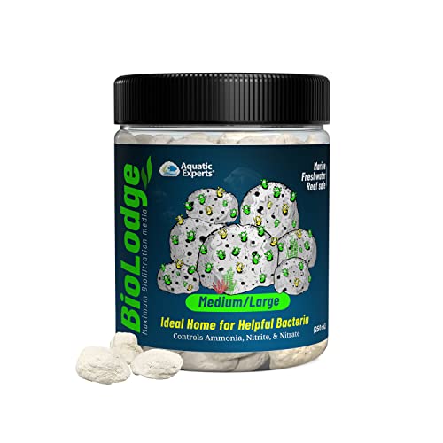 10 Best Bio Filter Media [Buying Guide 2023] • Sacred Car