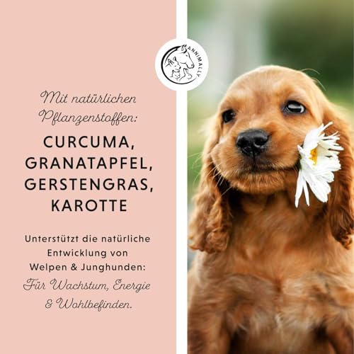 Annimally Dog's Daily Junior - Multivitamin Tabletten für Welpen & Junghunde, Vitamin B Komplex mit Calcium & natürlichen Pflanzenstoffen, 85 Stück
