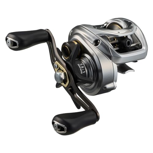 ダイワ(DAIWA) ベイトリール 24バス X100HL