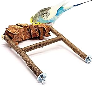 Kork Pickstein Knabberparadies für Wellensittich, Nymphensittich und Unzertrennliche inkl. Naturholz Sitzstangen| Tolles Spielzeug für die artgerechte Beschäftigung von Vögeln