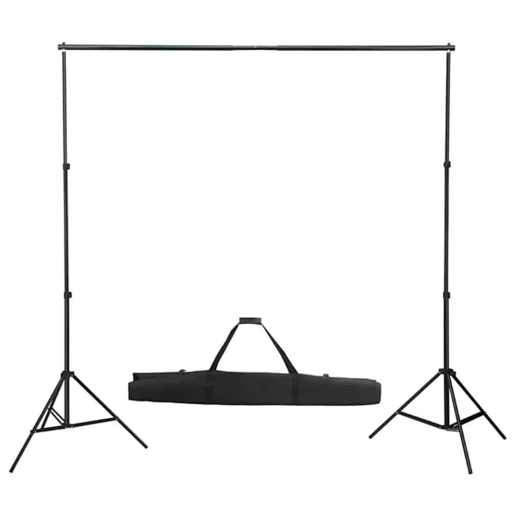 Kit da studio fotografico con illuminazione, sfondo e riflettore per fotografia professionale di ritratti e prodotti in studio domestico, include luci LED dimmerabili