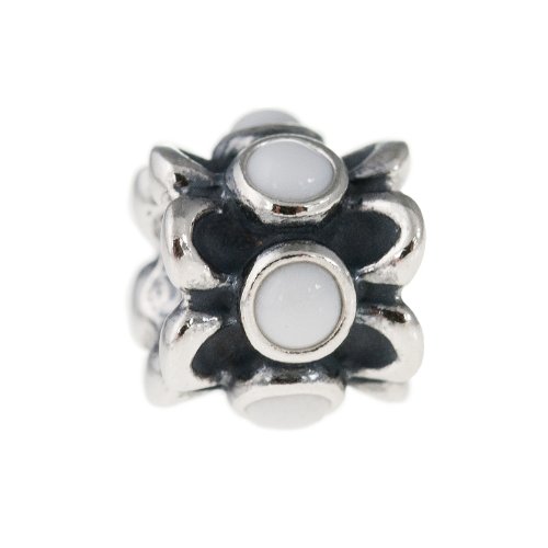 Abalorio de plata auténtica 790470AGW abalorios pulsera charm ágata natural