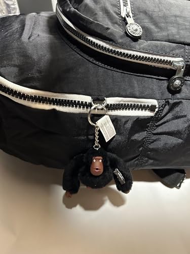 Kipling Seoul BW Rainbow2