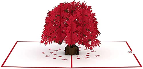 Lovepop Japanischer Ahornbaum Pop-Up-Karte, 3D-Grußkarte, Ahorn Geschenk-Karte für Geburtstag, Muttertag, Jahrestag, Dankeskarte, Valentinstags-Karte Cover