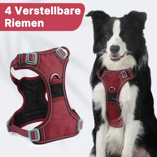 Demigreat Mittleres Hundegeschirr, Anti-Zug-Hundegeschirr mit Weich Gepolstertem Griff für das Training Beim Spazierengehen, Verstellbar, Reflektierend, für Kleine, Mittlere und große Hunde