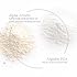 Tricoci AA Correct Serum, Dark Spot Corrector with Alpha Arbutin, Niacinamide & Hyaluronic Acid, Tone Balancing Brightening Face Serum for Hyperpigmentation, Discoloration & Uneven Skin, 1.7 Fl Oz